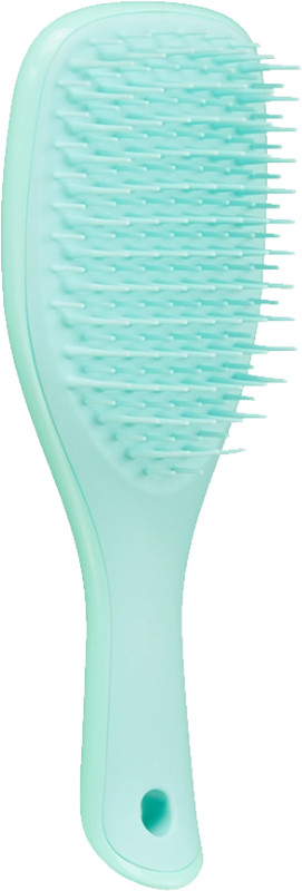 Щетка для волос The Wet Detangler Mini Sea Green Tangle Teezer  Фото 2 